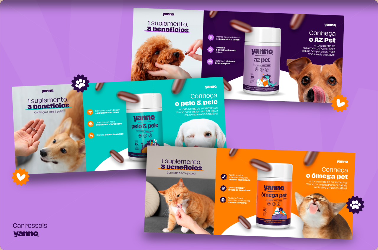 Composição de campanhas digitais Yanno Pet com produtos, pets e famílias.