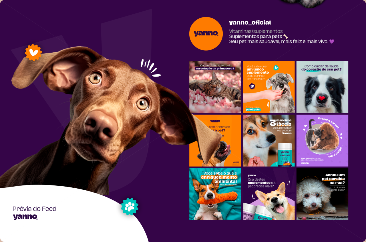 Campanha Yanno Pet com retratos de animais e peças para redes sociais.